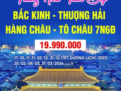 Xuất giảm các chặng quốc tế từ 1triệu-8triêu 0