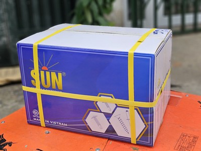 Đinh vít sàn sun 1