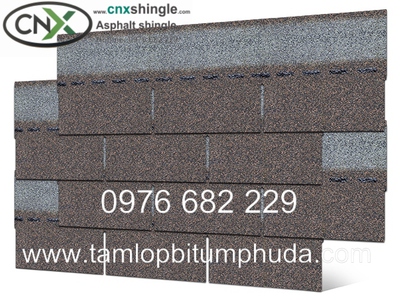 Ngói bitum CNX - Vật liệu mái cho nhà bungalow 1