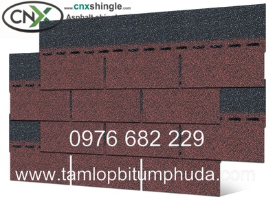 Ngói bitum CNX - Vật liệu mái cho nhà bungalow 3