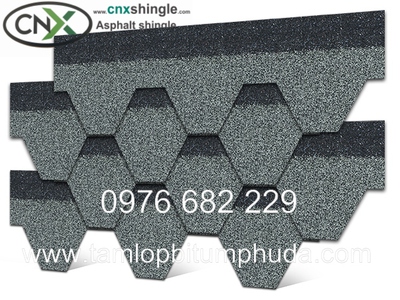 Ngói bitum CNX - Vật liệu mái cho nhà bungalow 9