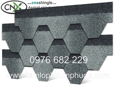 Ngói bitum CNX - Vật liệu mái cho nhà bungalow 10