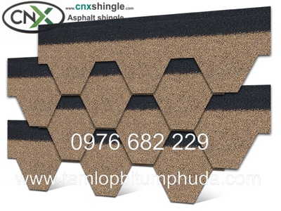 Ngói bitum CNX - Vật liệu mái cho nhà bungalow 11