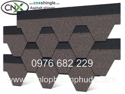 Ngói bitum CNX - Vật liệu mái cho nhà bungalow 12