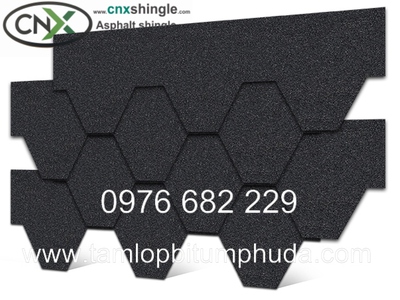 Ngói bitum CNX - Vật liệu mái cho nhà bungalow 13