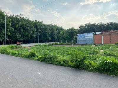Tôi đang Cần tiền bán gấp ra lô đất huyện phú giáo Diện tích hơn  1005,1m2   giá 450 triệu 1