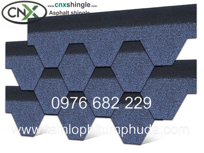 Ngói Bitum CNX - Sự hoàn hảo của tính chất chịu lực và cách nhiệt cho mái nhà 0