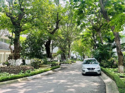 Biệt thự vườn tùng ecopark - đẳng cấp thượng lưu - khu vực đáng sống 337m2 3