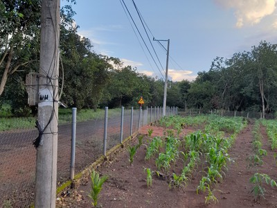 Ra Gấp Lô Đất 1500m2 Thuộc Thôn 6, Xã Long Hà, Huyện Phú Riềng, Tỉnh Bình Phước 2