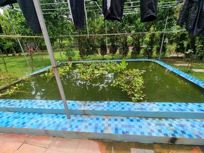 Cho thuê nhà Vườn ở Tứ liên 3400m2 rất phù hợp nghỉ dường nghỉ hoặc làm homestay 2