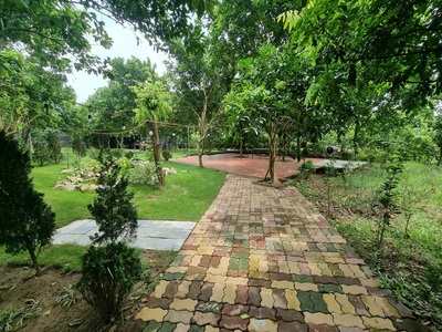 Cho thuê nhà Vườn ở Tứ liên 3400m2 rất phù hợp nghỉ dường nghỉ hoặc làm homestay 3