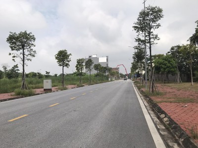 Bán gấp lô đất trục chính đường Huyền Quang khu Tân Phú Hưng chỉ 2,25 tỷ 1