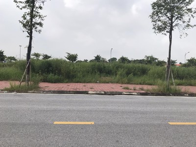 Bán gấp lô đất trục chính đường Huyền Quang khu Tân Phú Hưng chỉ 2,25 tỷ 2