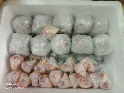 Gửi bánh Trung Thu đi Mỹ - Canada giá rẻ - GPS Global 2