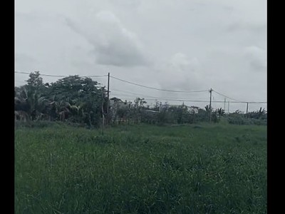 Kẹt tiền cần bán gấp đất kênh tiêu bà điểm, hóc môn, đang làm đường lớn 4