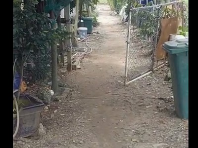 Kẹt tiền cần bán gấp đất kênh tiêu bà điểm, hóc môn, đang làm đường lớn 2