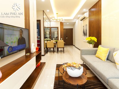 Chính Chủ Bán căn hộ Căn Hộ Full Nội Thất Him Lam Phú An  69m2, 2PN,2WC  Giá 8.5 Triệu/Tháng, Hướng 5