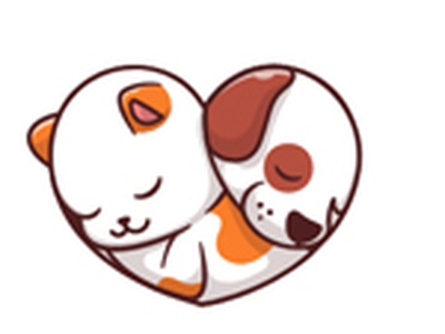 Mèo Anh Lông Ngắn Bicolor 0