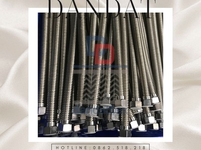 Dây Cấp Nước Nóng Lạnh Inox 304 - Dandat.Flex 8