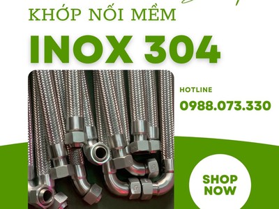 Khớp nối mềm nối bích  JIS, ANSI, BS, DIN 6