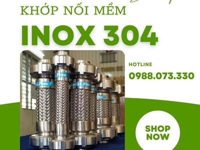 Khớp nối mềm nối bích  JIS, ANSI, BS, DIN 2