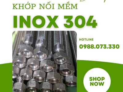 Khớp nối mềm nối bích  JIS, ANSI, BS, DIN 8