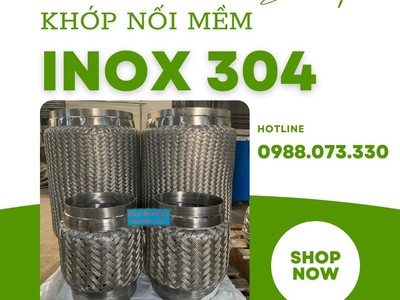 Khớp nối mềm nối bích  JIS, ANSI, BS, DIN 9