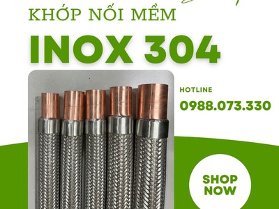 Khớp nối mềm nối bích  JIS, ANSI, BS, DIN 0