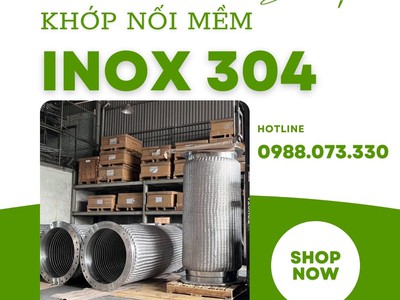 Khớp nối mềm nối bích  JIS, ANSI, BS, DIN 12