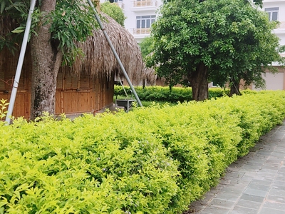 2,2 tỷ sở hữu Shophouse 4 tầng mới xây Quảng Thắng - TP Thanh Hóa 3