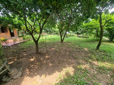 Chính chủ thuê nhà vườn An Lạc ở An Dương 3600m2 làm Homestay,Café, nghỉ dưỡng 3