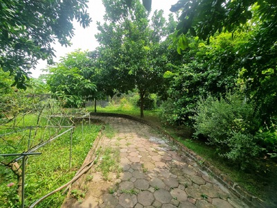 Chính chủ thuê nhà vườn An Lạc ở An Dương 3600m2 làm Homestay,Café, nghỉ dưỡng 4