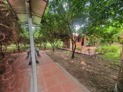 Chính chủ thuê nhà vườn An Lạc ở An Dương 3600m2 làm Homestay,Café, nghỉ dưỡng 5
