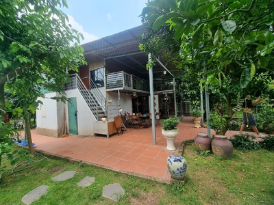 Chính chủ thuê nhà vườn An Lạc ở An Dương 3600m2 làm Homestay,Café, nghỉ dưỡng 7