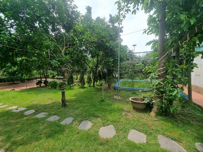 Chính chủ thuê nhà vườn An Lạc ở An Dương 3600m2 làm Homestay,Café, nghỉ dưỡng 9