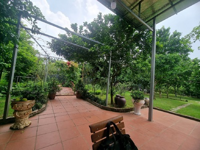 Chính chủ thuê nhà vườn An Lạc ở An Dương 3600m2 làm Homestay,Café, nghỉ dưỡng 10