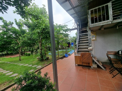 Chính chủ thuê nhà vườn An Lạc ở An Dương 3600m2 làm Homestay,Café, nghỉ dưỡng 11