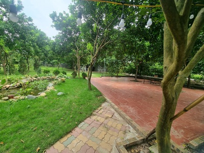Chính chủ thuê nhà vườn An Lạc ở An Dương 3600m2 làm Homestay,Café, nghỉ dưỡng 12