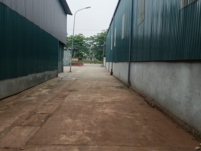 Cần cho thuê kho xưởng duyên hà - thanh trì 55k/m2, 700m2 giá chỉ 38.5 triệu/tháng. 0