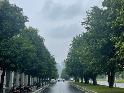 Sốc quá sốc, chủ vừa hạ chào 6 tỷ, biệt thự trung văn, 160m, giá 21.8 tỷ 0