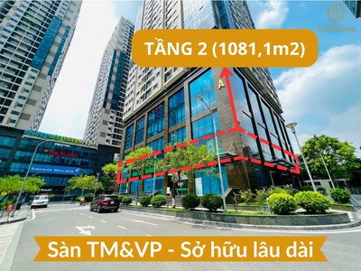 Bán gấp full sàn văn phòng 1081,1m2 - sổ hồng lâu dài siêu hiếm quận thanh xuân - sẵn khách thuê 0