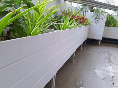Chậu kẻ chỉ composite 1