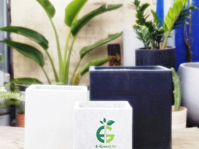 Chậu trồng cây xi măng nhẹ eco 025 2