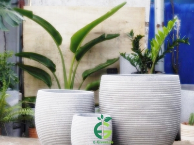 Chậu trồng cây xi măng nhẹ eco 025 3