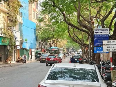 Chính chủ bán xe máy 50cc 1240