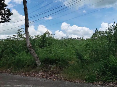 Đất đẹp - giá tốt - cần bán lô đất mặt tiền đường huỳnh thị nở - thường thạnh - cái răng 3