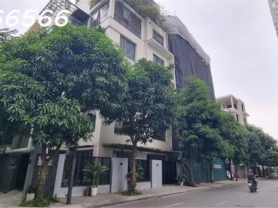 Chính chủ bán xe máy 50cc 2095