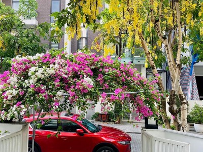 Chính chủ bán xe máy 50cc 1947