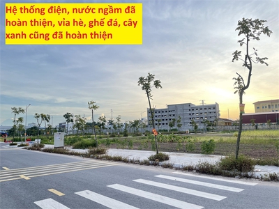 Chính chủ bán xe máy 50cc 1603