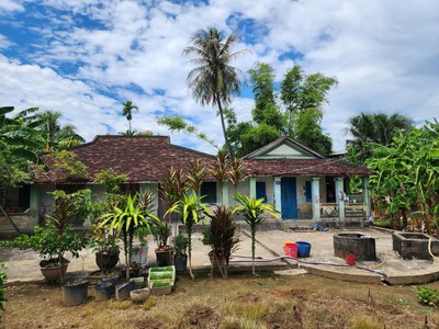 Bán nhà vườn cổ diện tích 978m2 ngang gần 20m Thôn Trung xã Vĩnh Phương gần Ủy ban và Chợ 1
